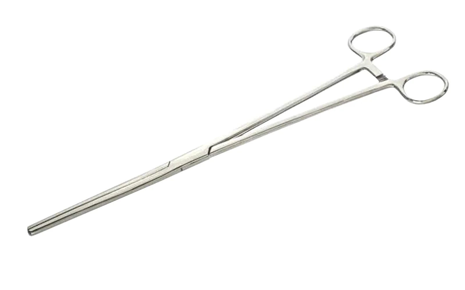 12" Stainless Steel Straight Forceps