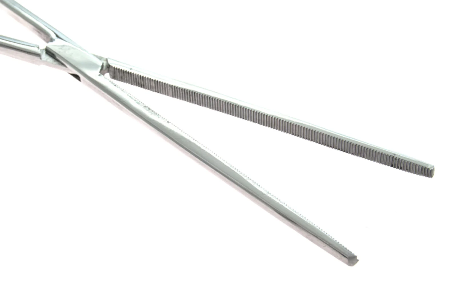 16" Stainless Steel Straight Forceps - Image 2