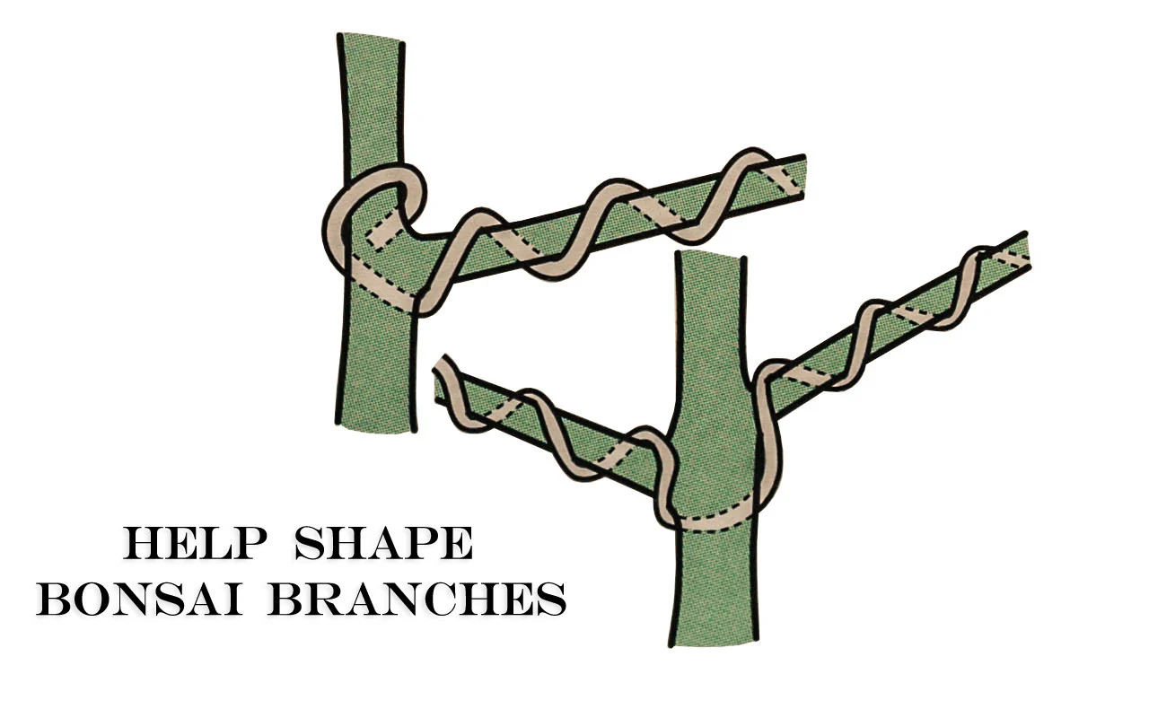 Bonsai Wire ~ 2 mm Diameter - 38' Length - Image 3