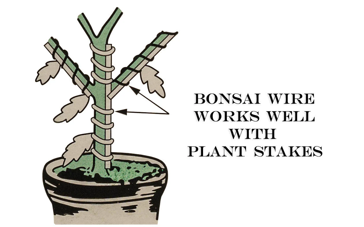 Bonsai Wire ~ 2 mm Diameter - 57' Length - Image 4