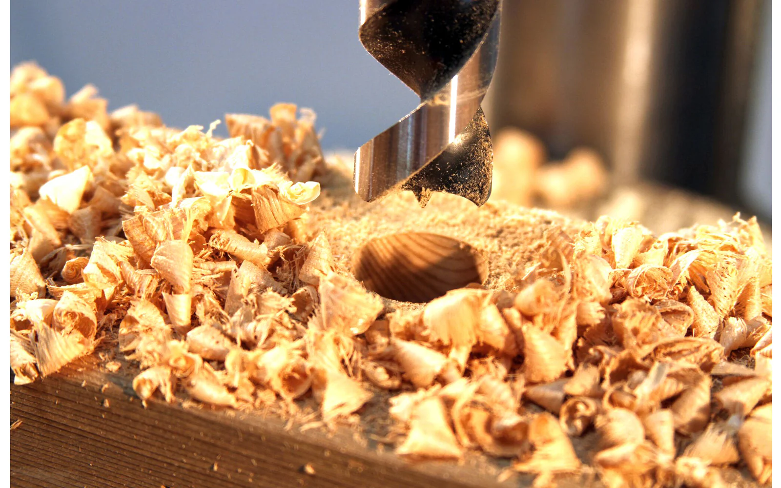 Wood Owl 3/4" OverDrive Fast Boring Bit - Image 3